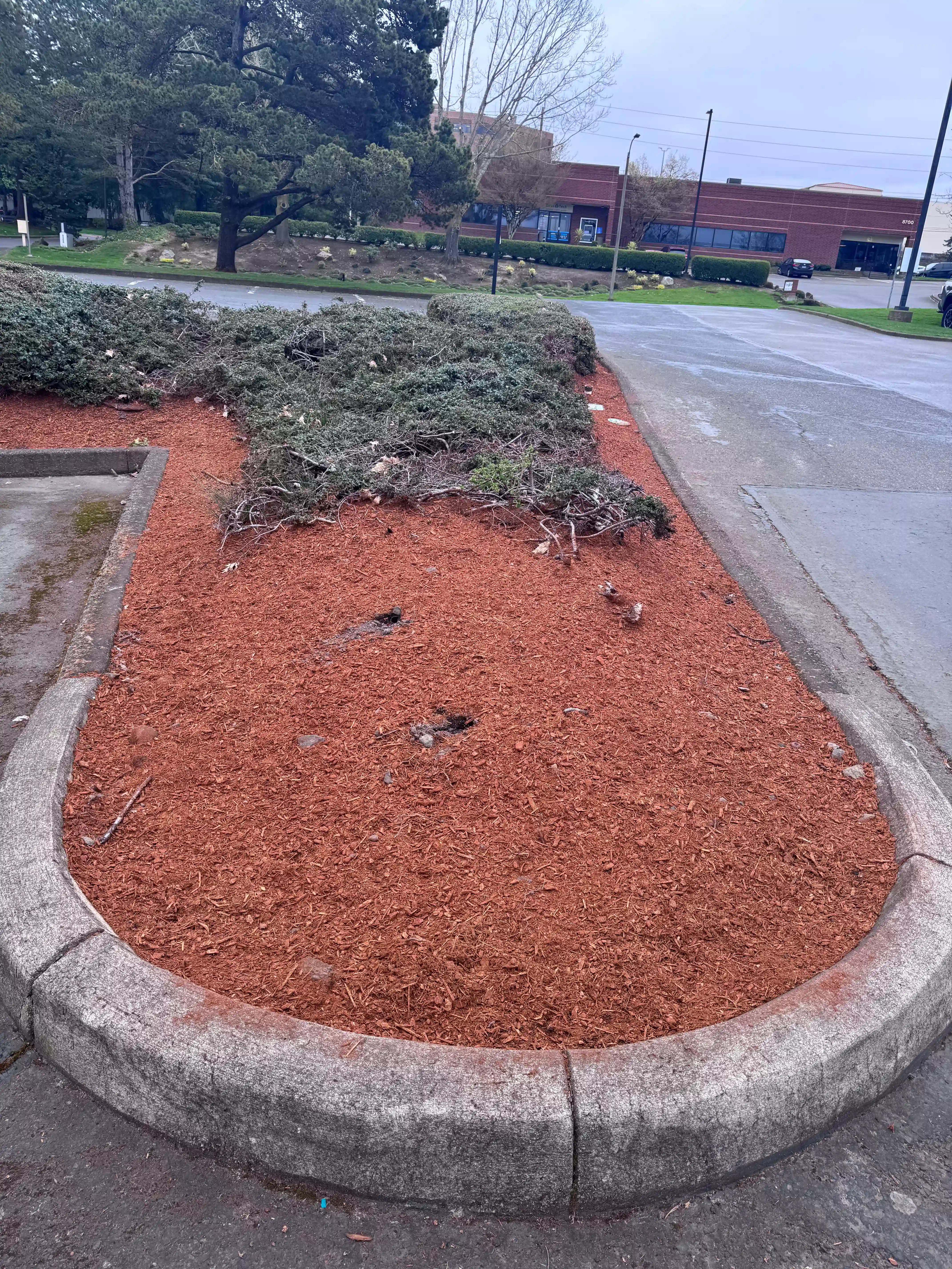 Professional Bark Dust Installation and Mulching in Portland OR and Vancouver WA