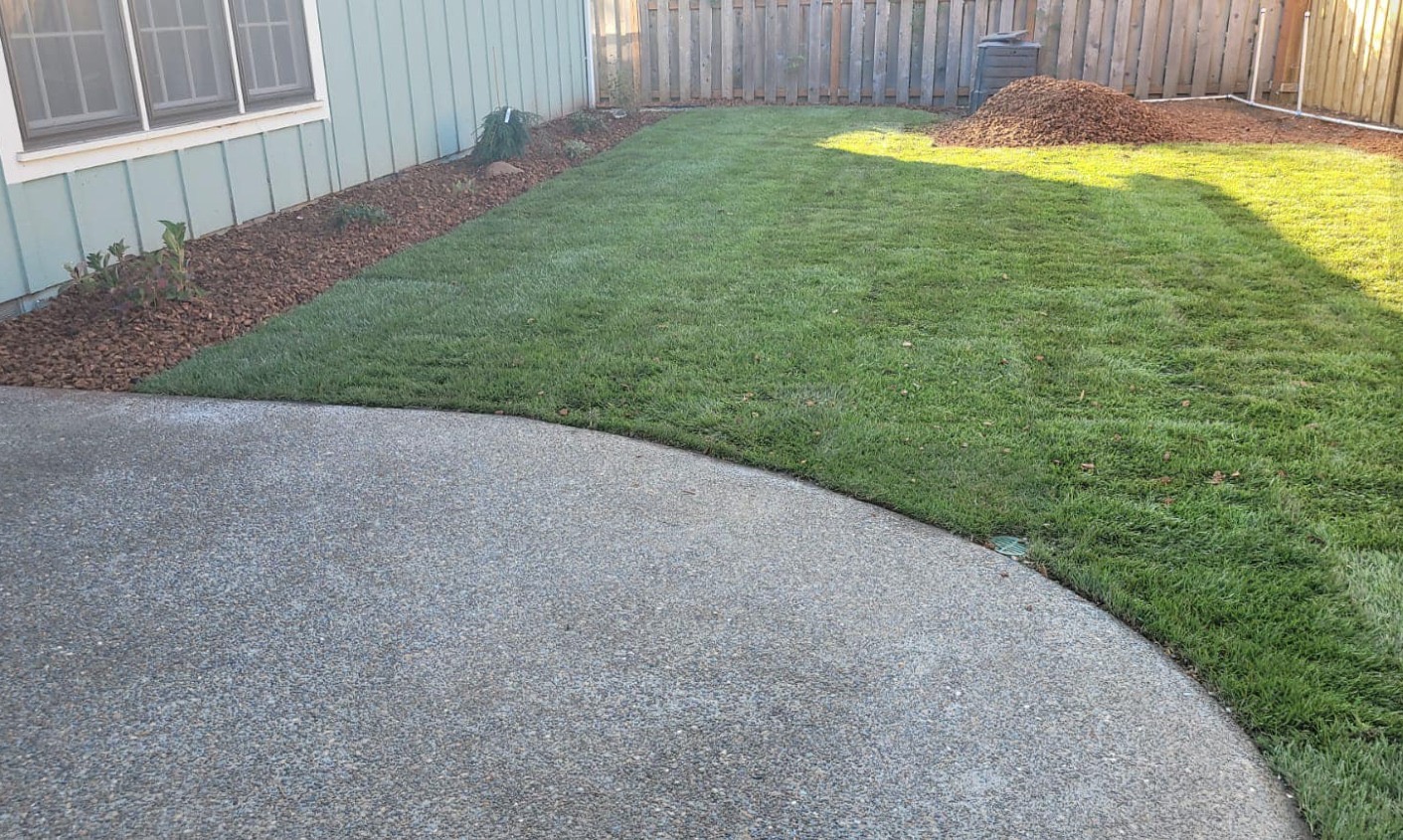 Professional Sod Installation and Lawn Replacement in Portland OR and Vancouver WA