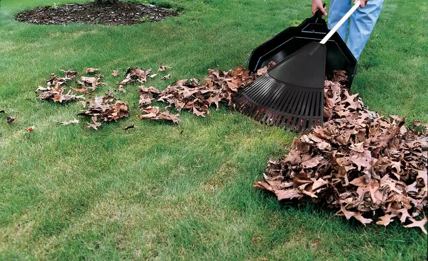 Professional Yard Cleanup and Leaf Removal in Portland OR and Vancouver WA