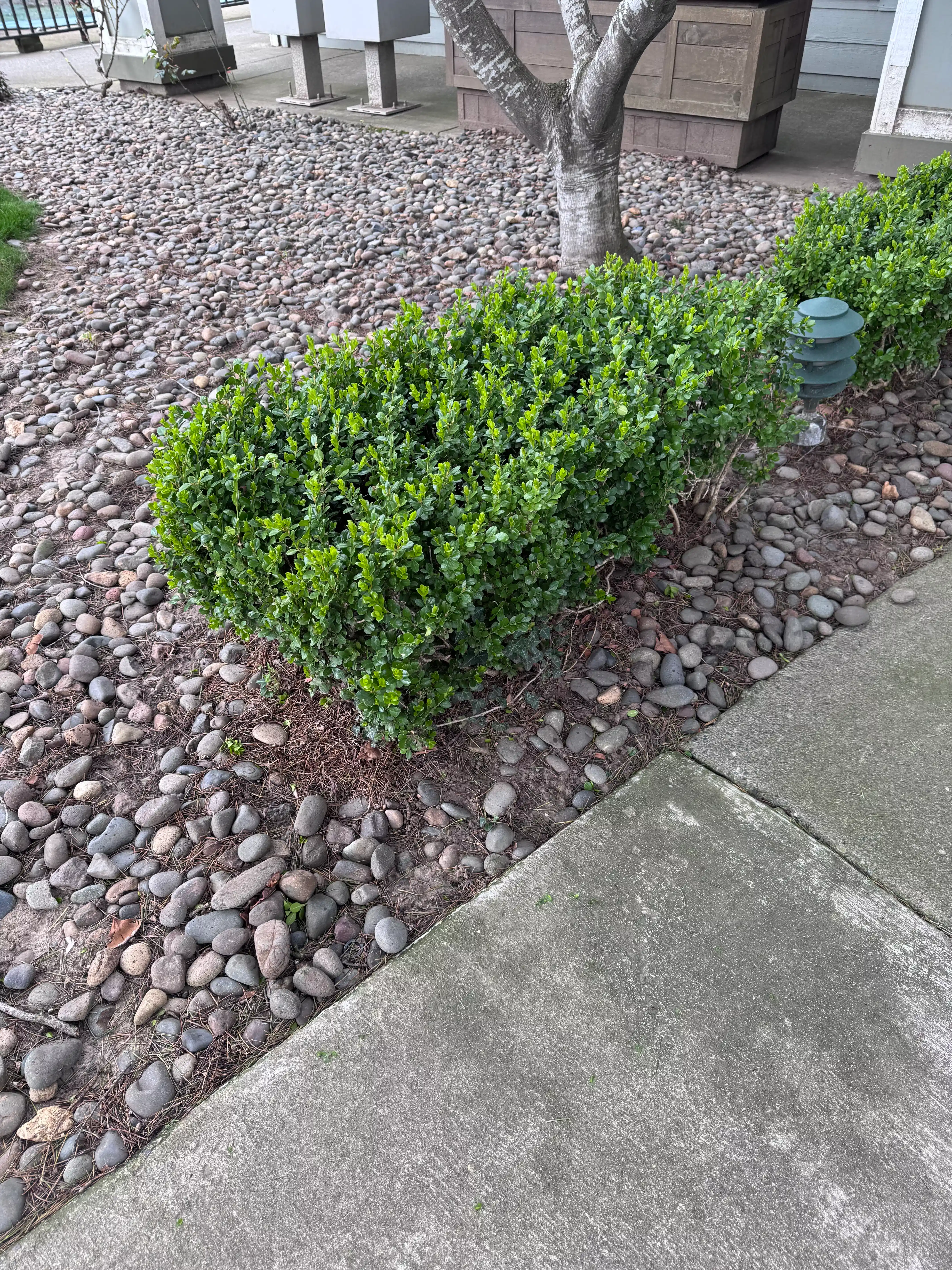 Professional Commercial Landscape Maintenance in Portland OR and Vancouver WA