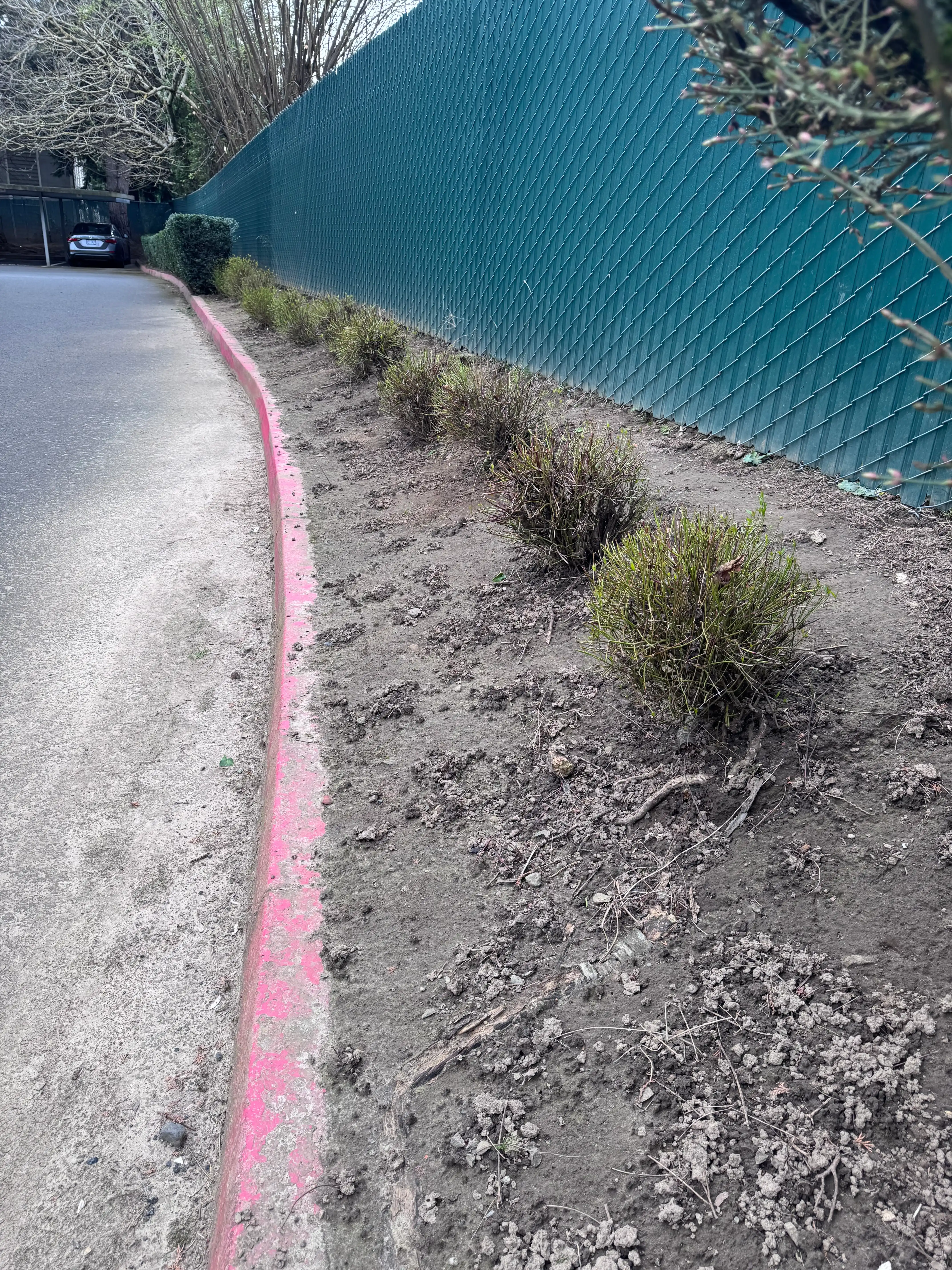 Professional Residential Landscape Maintenance in Portland OR and Vancouver WA