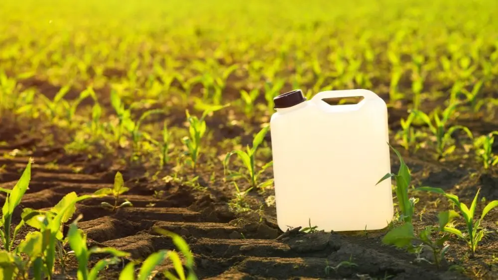 Professional Pesticide Programs and Weed Control in Portland OR and Vancouver WA