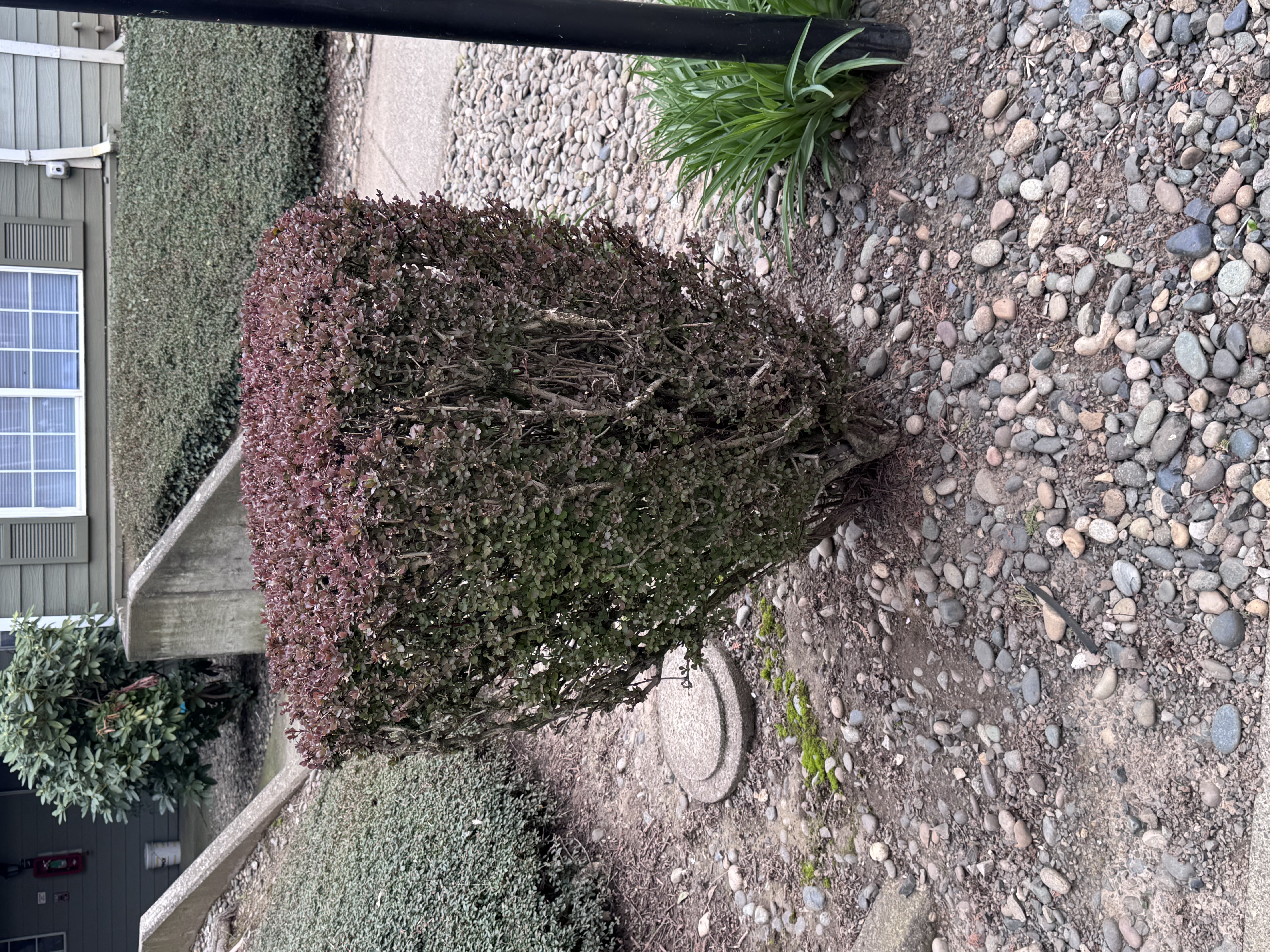 Professional Lawncare Maintenance in Portland OR and Vancouver WA