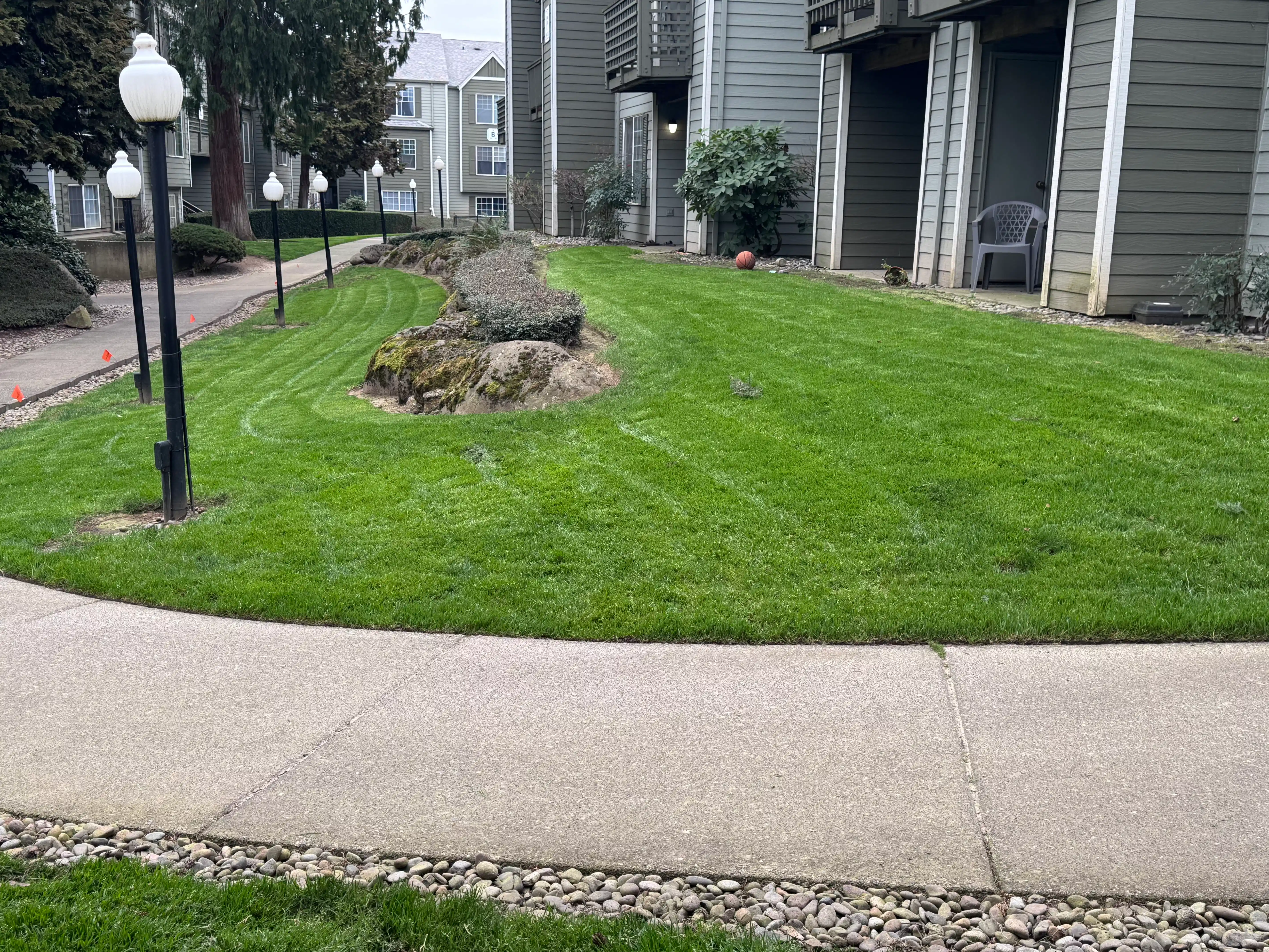 Lawncare Maintenance