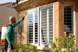 Professional Rough Areas Spray and Brush Control in Portland OR and Vancouver WA