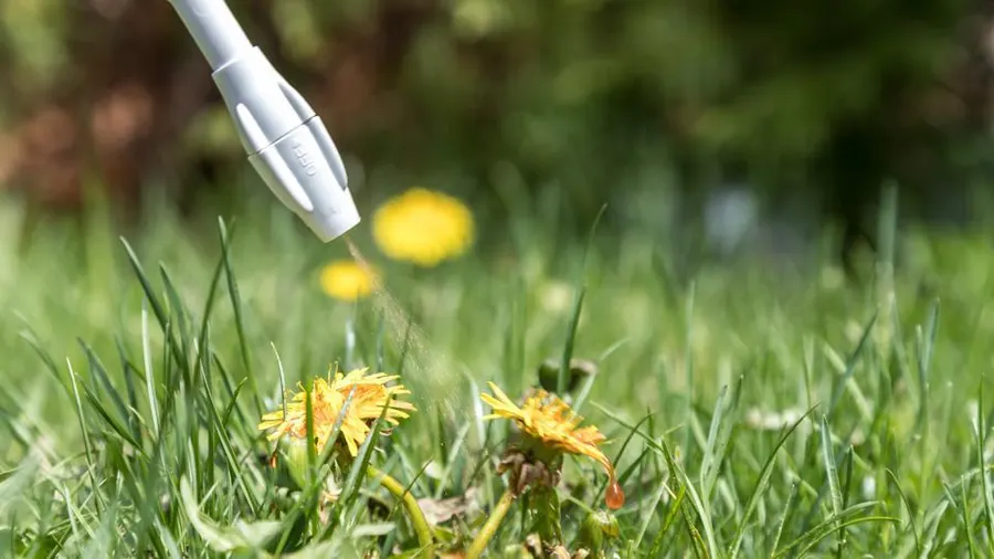 Professional Turf Weed Control and Lawn Fertilization in Portland OR and Vancouver WA
