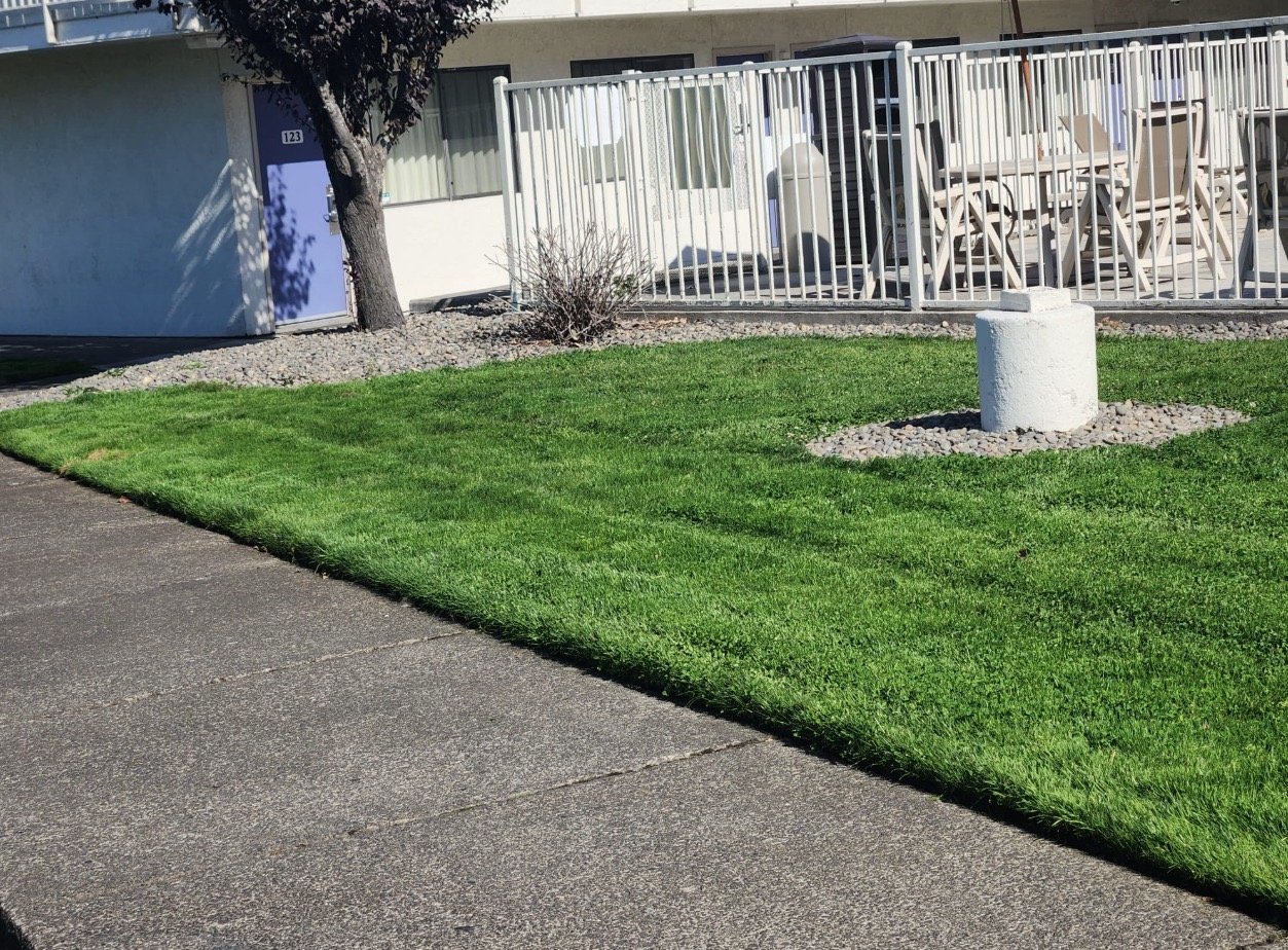 Professional landscaping, lawncare, and yard construction services in Portland, OR